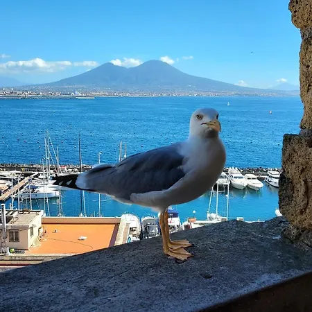 Domus Napoli-3